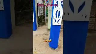 #newram Mander ka video short vilag nepal# viral #short# video#shortvideo # new#newvoce#