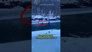 This Man saved this Dog From Icy River #shorts #dog #viralvideo