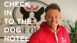 Check into The Dog Hotel