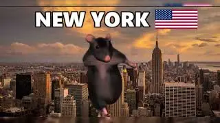 RAT DANCE | IN NEW YORK 🇺🇸 | 1 MINUTE