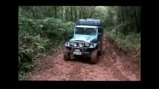 Toyoteiros Paraná
