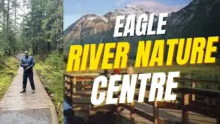 Eagle River Nature Center Alaska | Travel Guide to Trails, Wildlife & Winter Activities