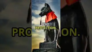 History of the Vicious Alabai! #dog