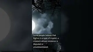 👀🌲🐻 Has Anyone Actually Seen Bigfoot?🤔🌲🌲