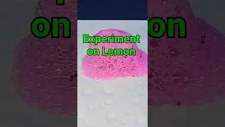Experiment on Lemon 😎 Science Experiment #experiment #shorts #ytshorts