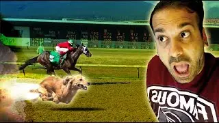 RACING WEINER DOGS!? Hastings Racecourse