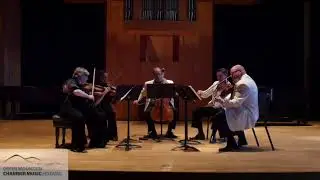 Alexander von Zemlinsky, String Quintet in D minor (1894), Allegro