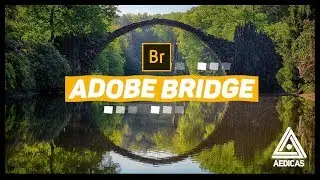 03 MOTIVOS para usar o ADOBE BRIDGE | Olha a Dica #016