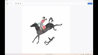 A men riding and jumping with the horse