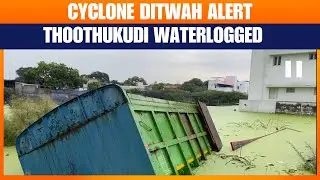 Cyclone Ditwah Approaches TN Coast: Heavy Rain, Waterlogging Hits Thoothukudi