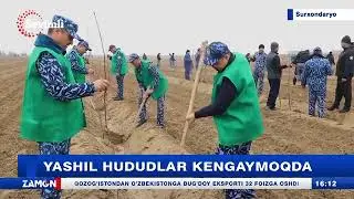 Surxondaryo viloyati IIB xodimlari &ldquo;Yashil makon&rdquo; umummilliy loyihasida faol ishtirok etishmoqda