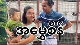 အမွှေစိန် || Paing Kyaw