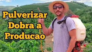 “Pulverização no café: Vale a pena fazer?”