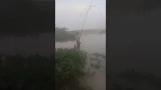 Indian Fishing (9) #indianvillager #fishlovers #fishingtechniques #fishaholic #fish #fishcatching