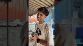 NAA &ndash; Natural Acting Academy & Films is live
