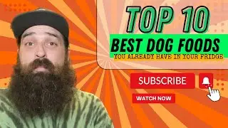 TOP 10 BEST DOG FOODS ‼️you probably already have in your fridge