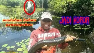 jadi horor,,,danau teratai bikin jantungan||casting gabus||yansah pancing