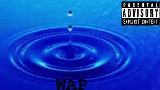 WAP- Amir Genius x Smurphzilla (audio)