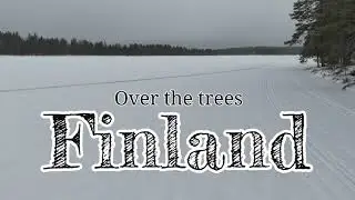 Finland Over the trees 4 k Video
