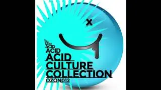 OZON012 Swollen Heads - Polythene Worlds (Ozone Recordings)