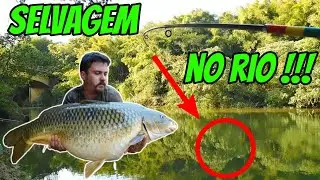 O RIO das CARPAS GIGANTES / Pescando na correnteza - Pesca da Carpa #18