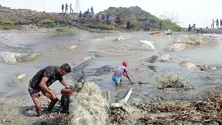 Most Amazing Fishing Video 2023 | Everyone Should Watch This Fishing Video | Pond Fishing by Hand