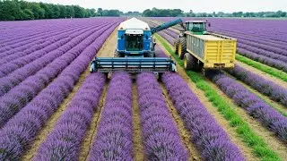Inside Factory Perfume Manufacturing Plant (Full Factory Process)