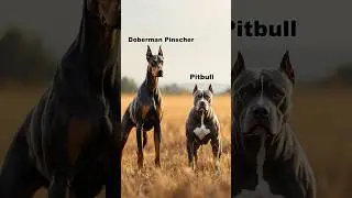 Incredible Hybrid Dog Breeds Formed by Fusion #dogs #shorts #hybrid