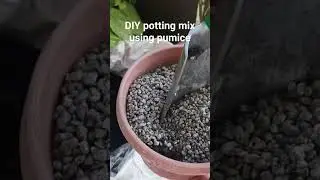 Самодельная почвенная смесь с использованием пемзы