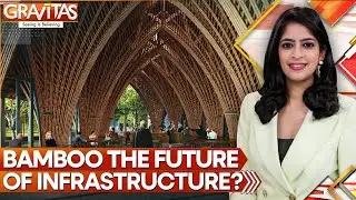 Bamboo The Future Of Stronger, Greener Infrastructure? | GRAVITAS | World News