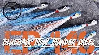 Tying a Blueback Trout Thunder Creek Minnow Fly Pattern- Ep146 PF #piscatorFlies