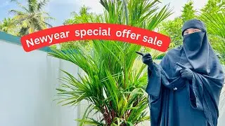 New year special &hearts;️ Everything is good at a good price &hearts;️threads Thamarasserry