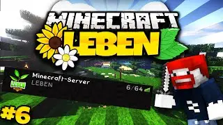 WIE KOMMT MAN AUF DEN SERVER - Minecraft LEBEN #6 | DoctorBenx