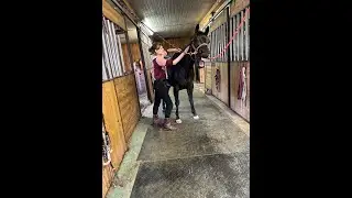 Am&eacute;liorer le bien-&ecirc;tre des chevaux, Jessica Guay Massoth&eacute;rapeute &eacute;quin