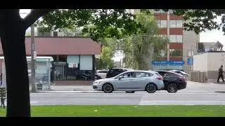 Filtown at Bathurst/Wilson (1)