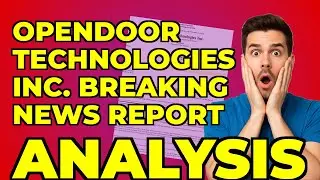 Opendoor's Warrant Distribution: My Insight into the Strategy