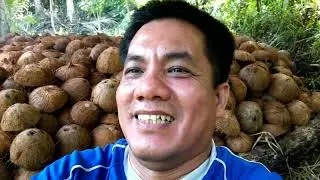 Bantay sa sendihanan