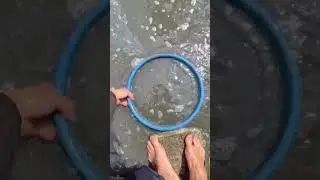 The process of catching Chinese bitterling