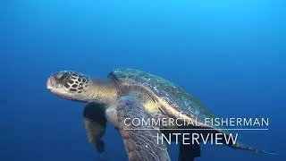The Effects Of Climate Change on Commercial Fishing In Australia