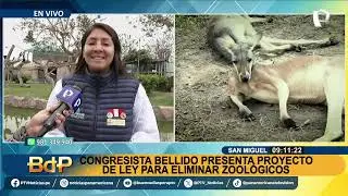 Parque de las Leyendas le responde a Guido Bellido tras proyecto que busca cerrar zoológicos