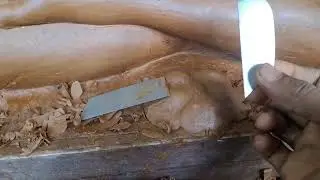 Detailing the sculptures making tips