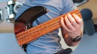 My bass Collection - Celinder Fretless