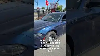 Каково это &mdash; купить старый полицейский автомобиль на правительственном аукционе