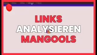 LINKS ANALYSIEREN mit dem MANGOOLS BACKLINK TOOL
