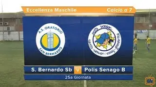 Sintesi S. Bernardo Sb - Polis Senago B