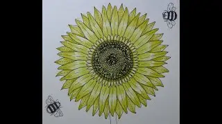 Adult Colouring Tutorial Sunflower Petals - from Secret Garden by Johanna Basford
