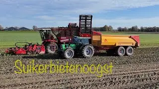 Suikerbieten rooien / Sugar beet harvest 