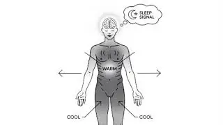 How to Sleep LESS and Wake Up FRESH - 5 Japanese Secrets