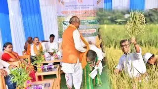 Agriculture Minister Ratan Lal Nath Joins Farmers in Paddy Harvest at Lankamura