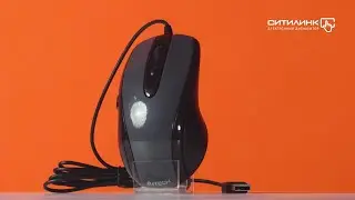 Обзор мыши A4 V-Track Padless N-708X | Ситилинк
